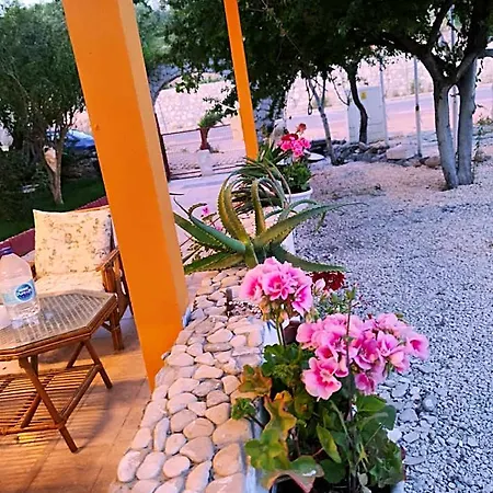酒店 La Bonita